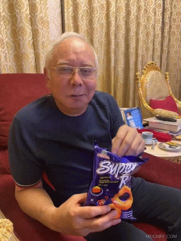 dsn-najib (1).gif