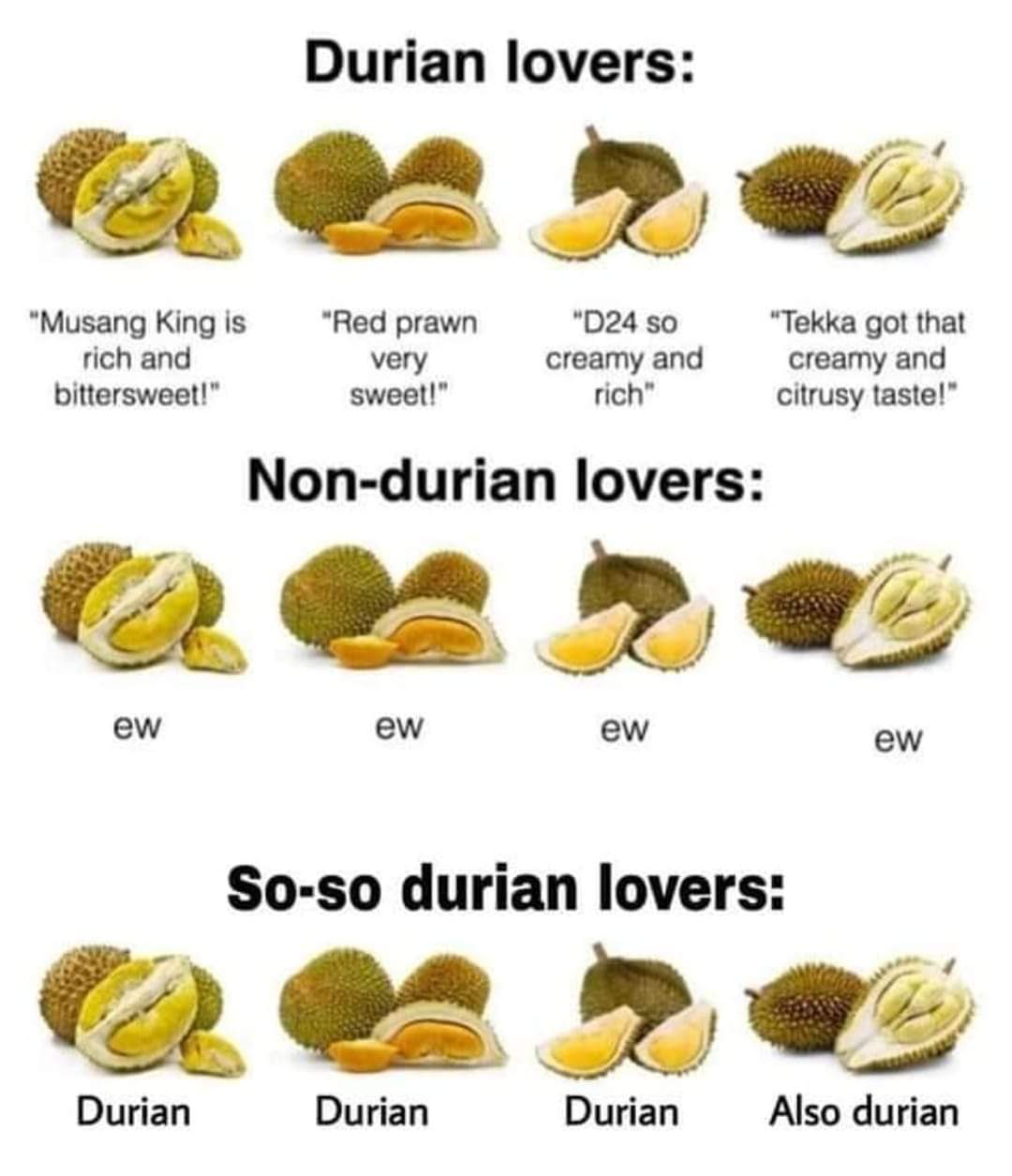 dura.jpg
