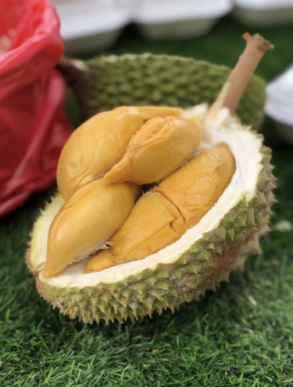 Durian-36.png