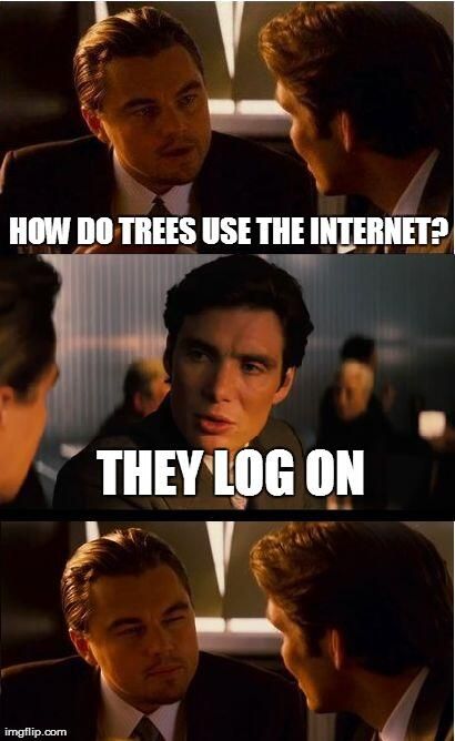 e423ce67f11ffc8a94ec7c254896a376.jpg