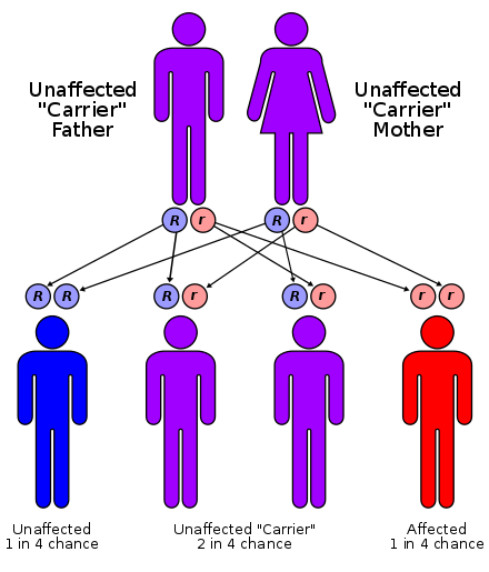 E65D0AF4-828E-4673-86C6-BE9034E6E3F7.png