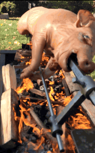 ED02D1B1-A910-47A5-8D75-187D6BCBA095.gif