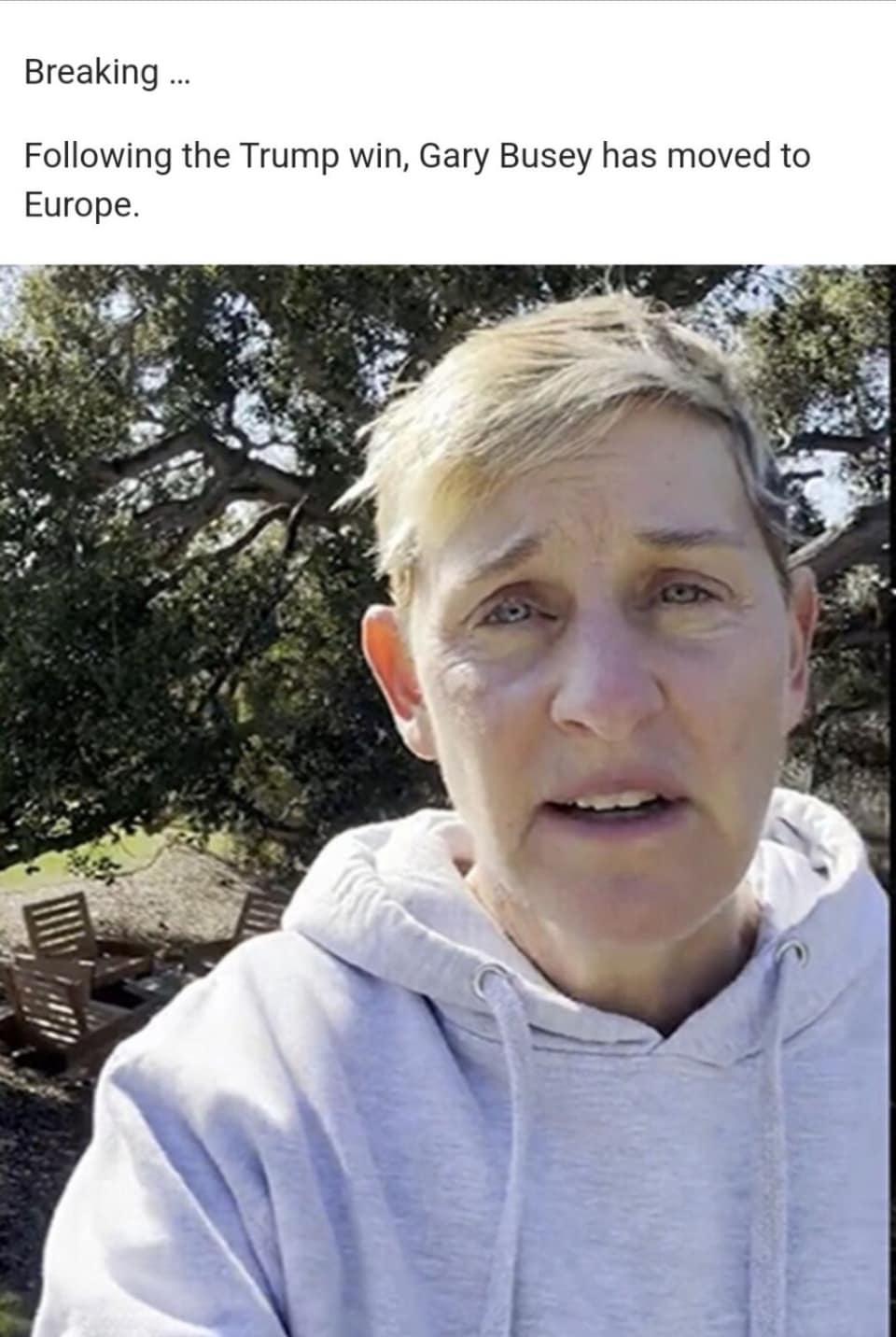 ellen.jpg