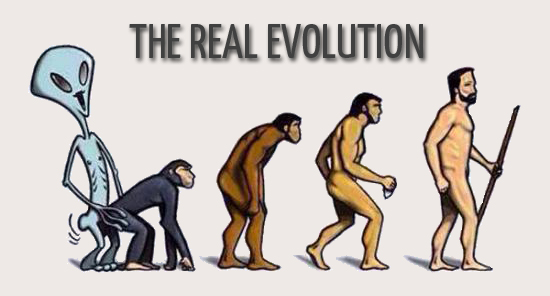 evolution.jpg