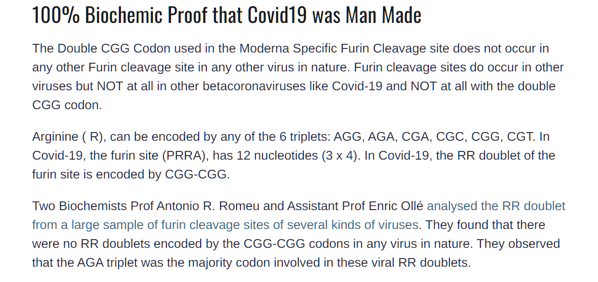 expose-d1.png