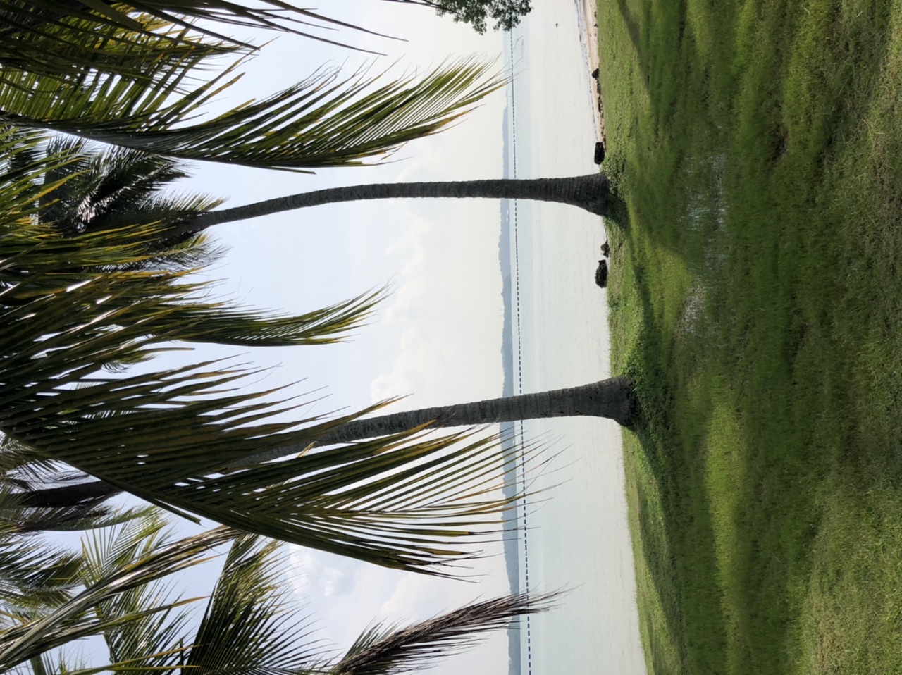 F3AE9510-E03B-425E-BF90-8EC0F86BEAA5.jpeg