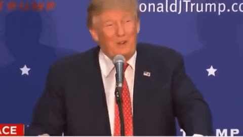F65CDA2F-E4D5-4315-8ED3-0CFBD35875FB.gif