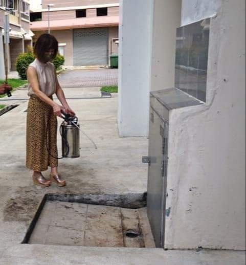 FB_IMG_1606429201893.jpg