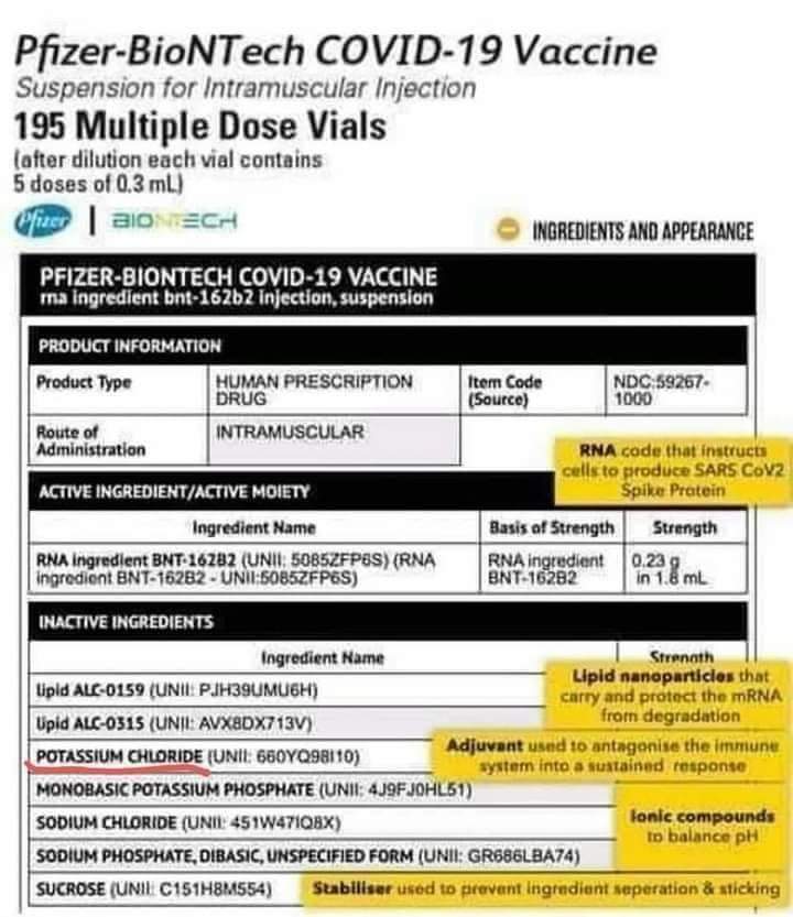 FB_IMG_1609153904880.jpg