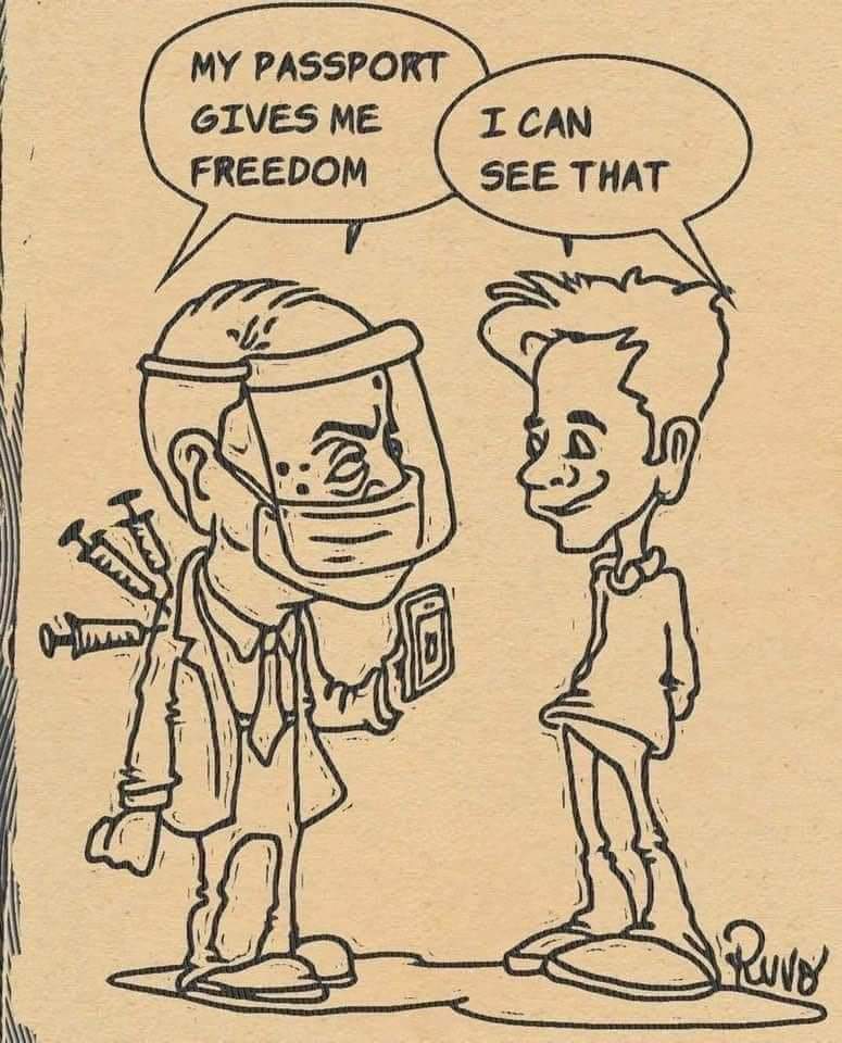 FB_IMG_1645407938616.jpg