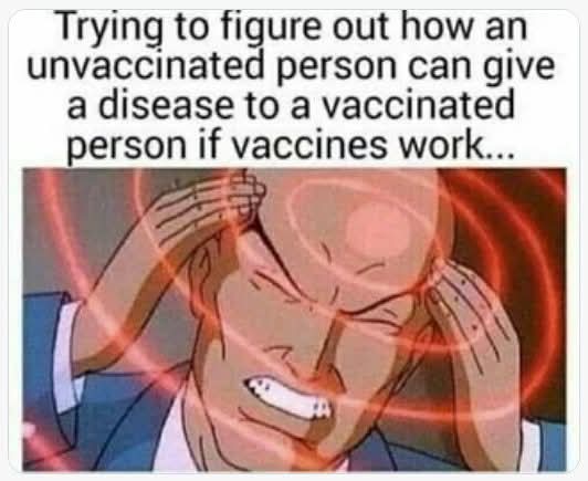 FB_IMG_1750649588759.jpg