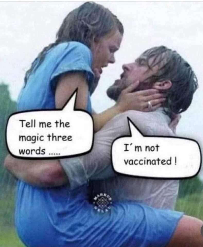 FB_IMG_1759231218793.jpg