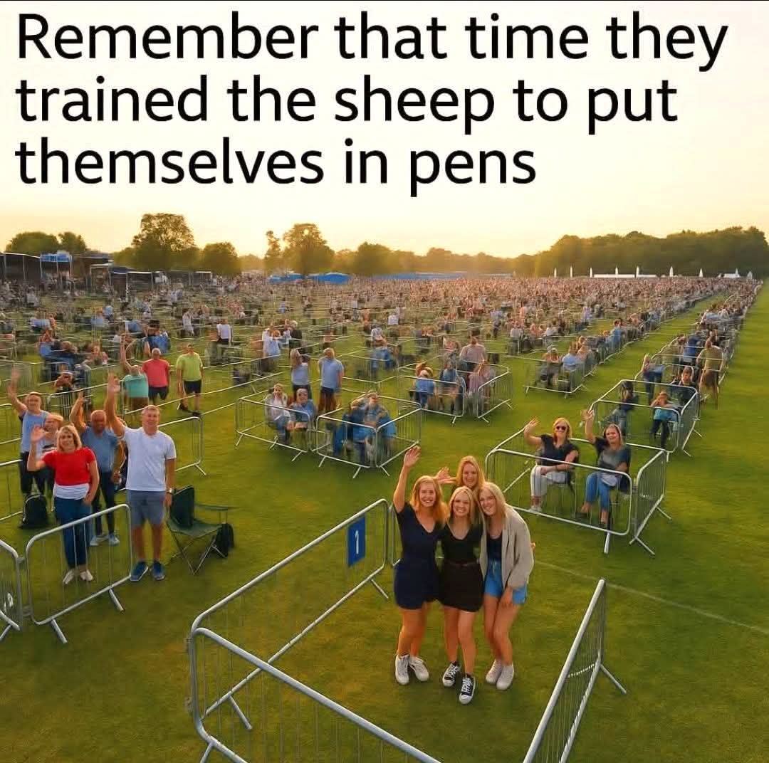 FB_IMG_1759728985911.jpg