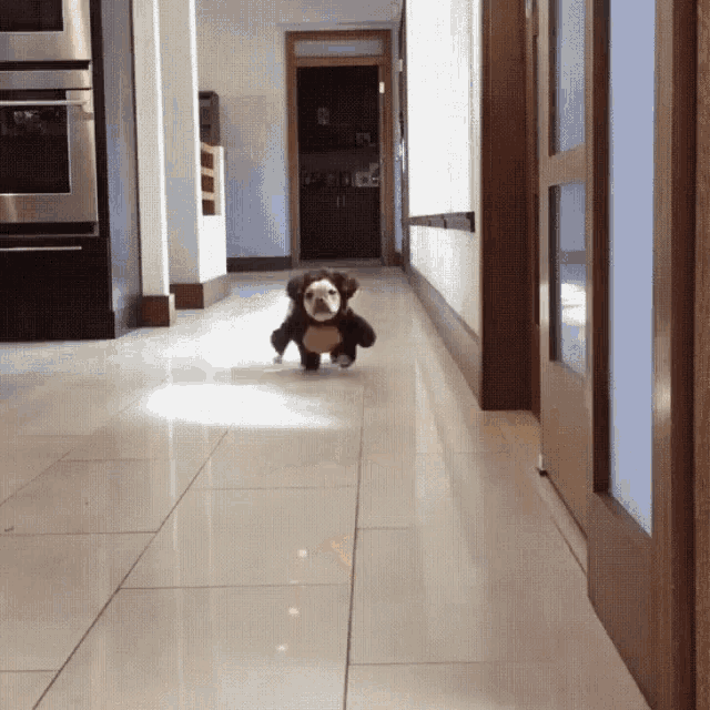 FCDCE39D-12AA-47AF-AA59-2BB4676DF5AB.gif