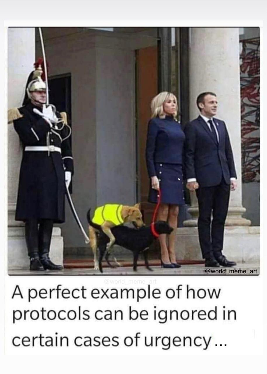 FCFEB1DB-0AA9-4CDF-817D-5C8EDA5F0858.jpeg