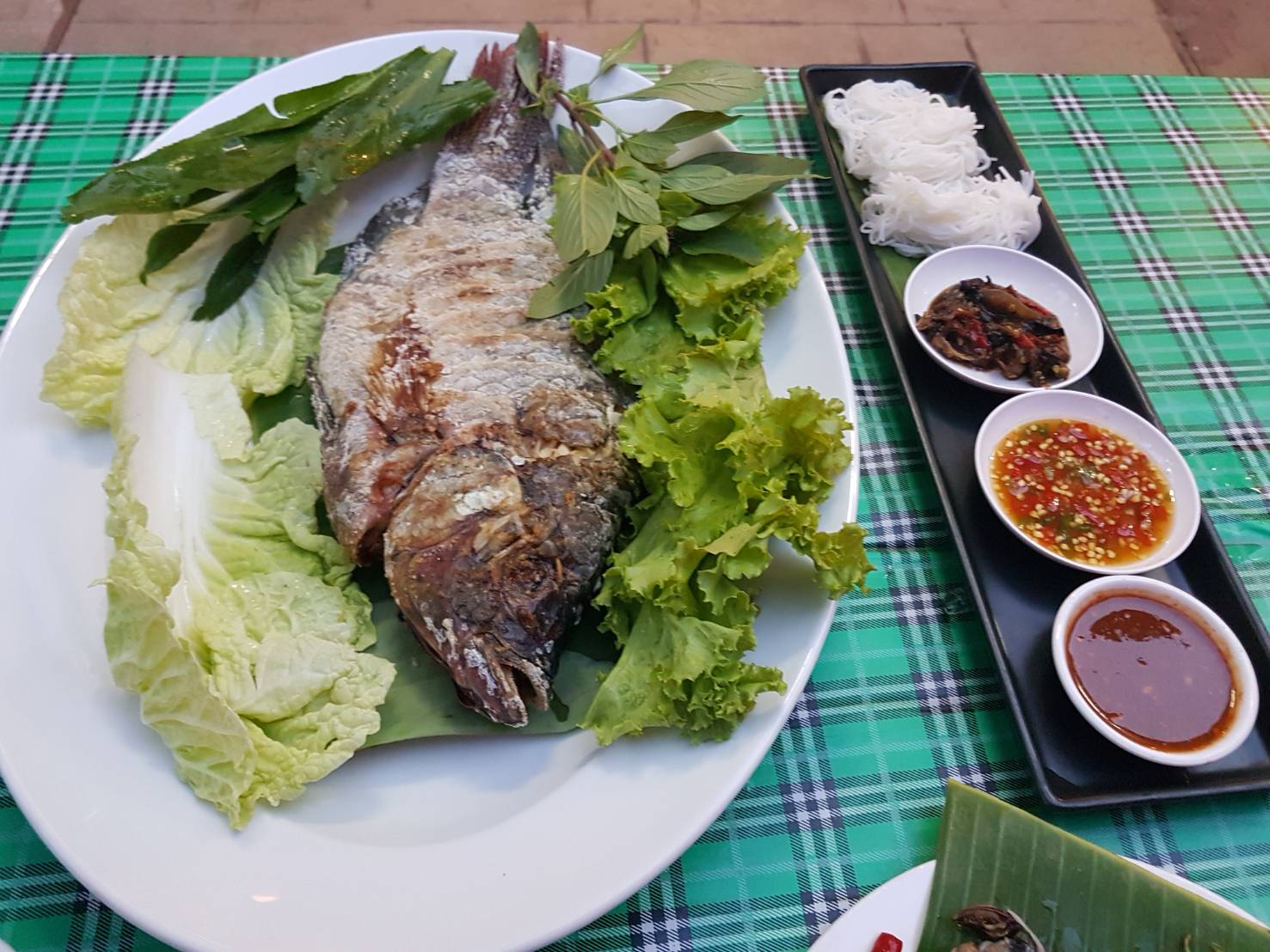 fish.jpg