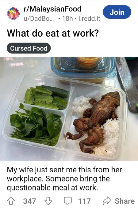Frog.jpg