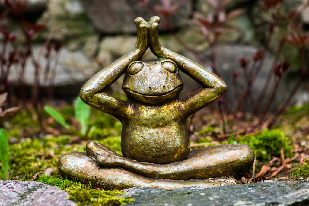 frogmonk.jpg