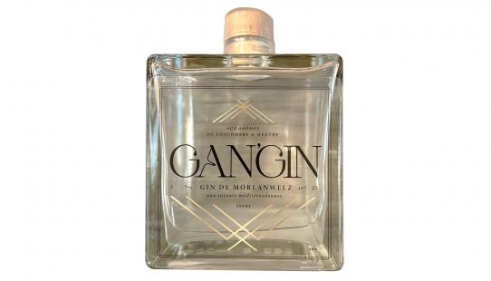 Gangin_fles_w.jpg