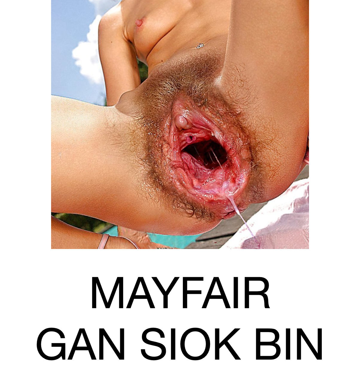 ganshiokbin.png