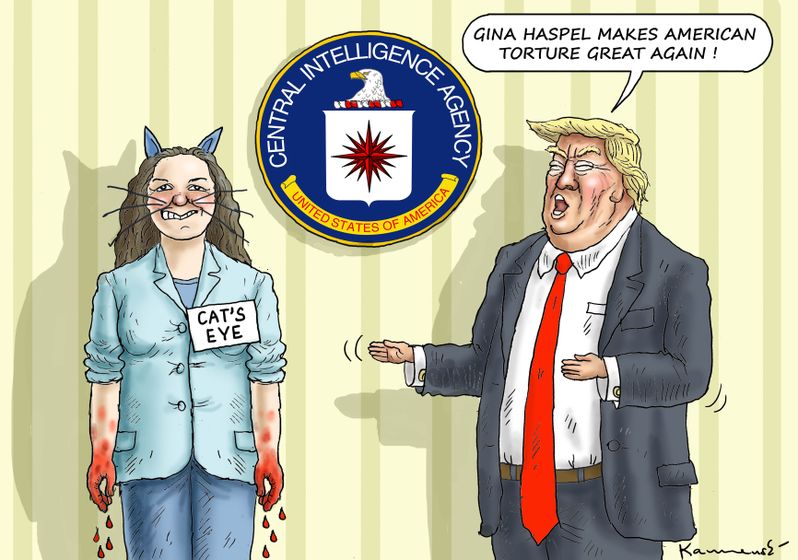 gina_haspel_cia_chief___marian_kamensky.jpg