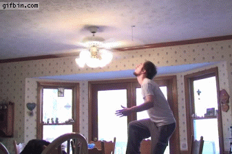 giphy-1-1.gif