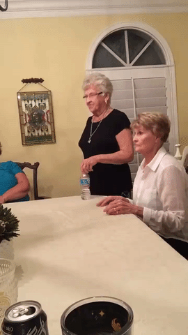 giphy (1).gif
