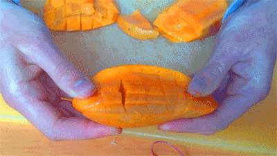giphy (4).gif