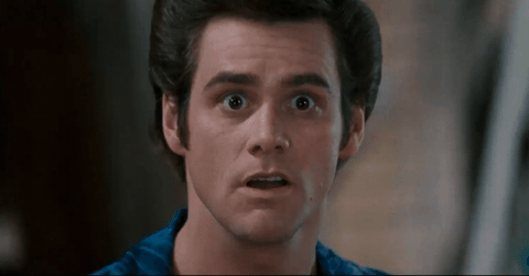 giphy-4.gif