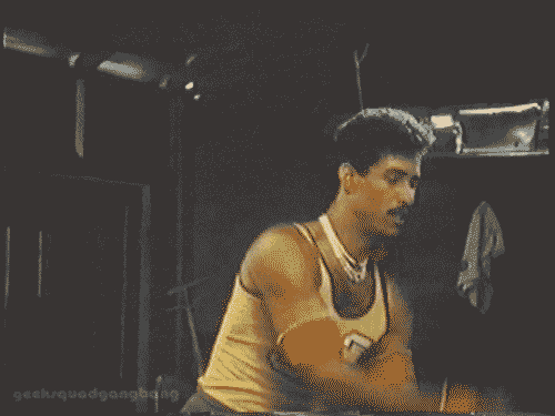 giphy.gif