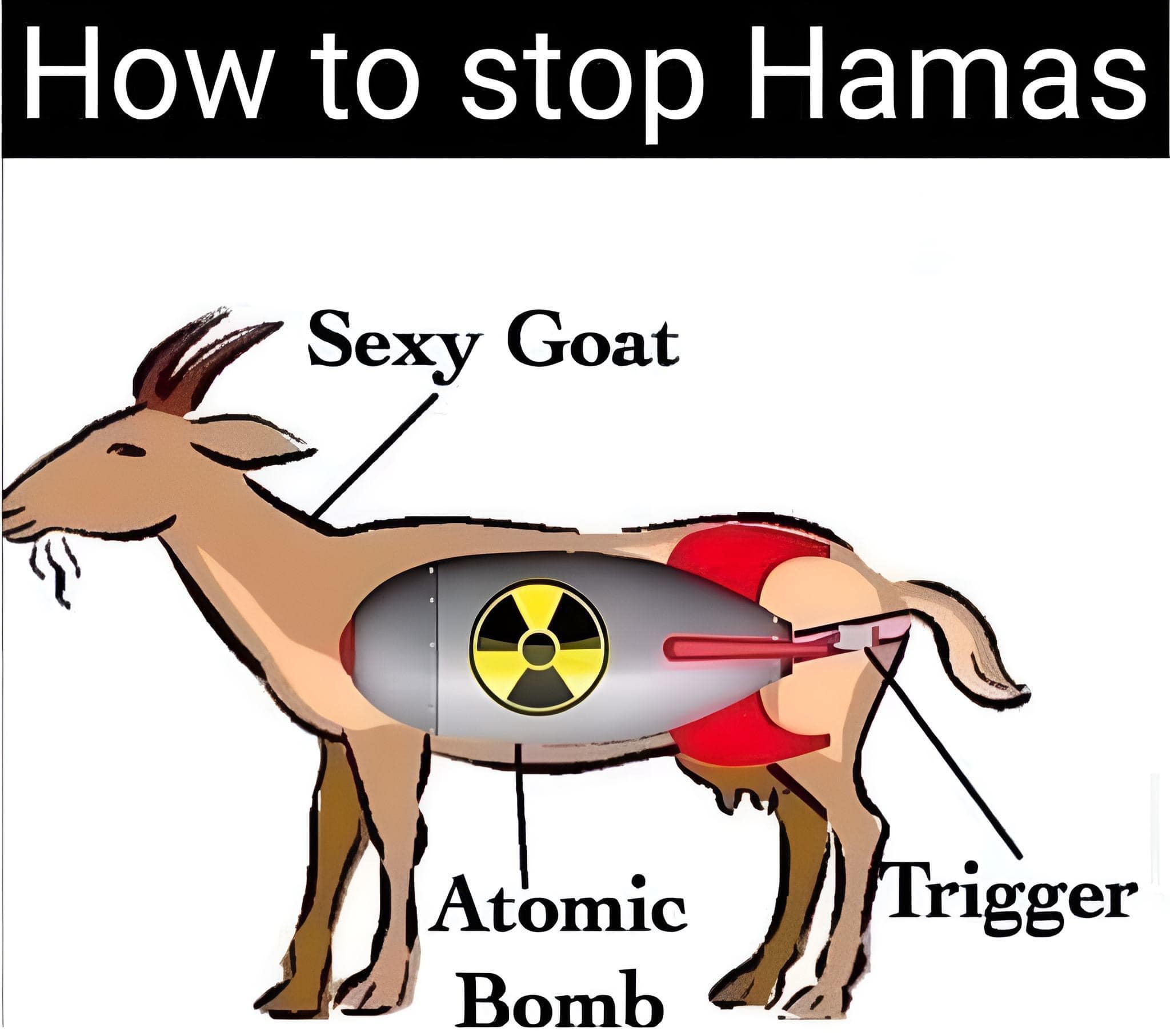 goat.jpg