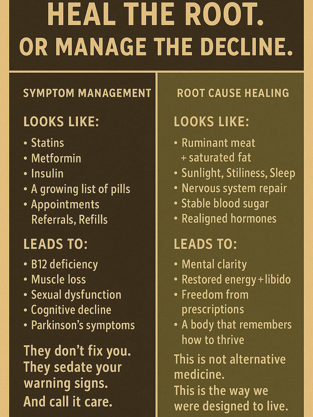 health6.jpg