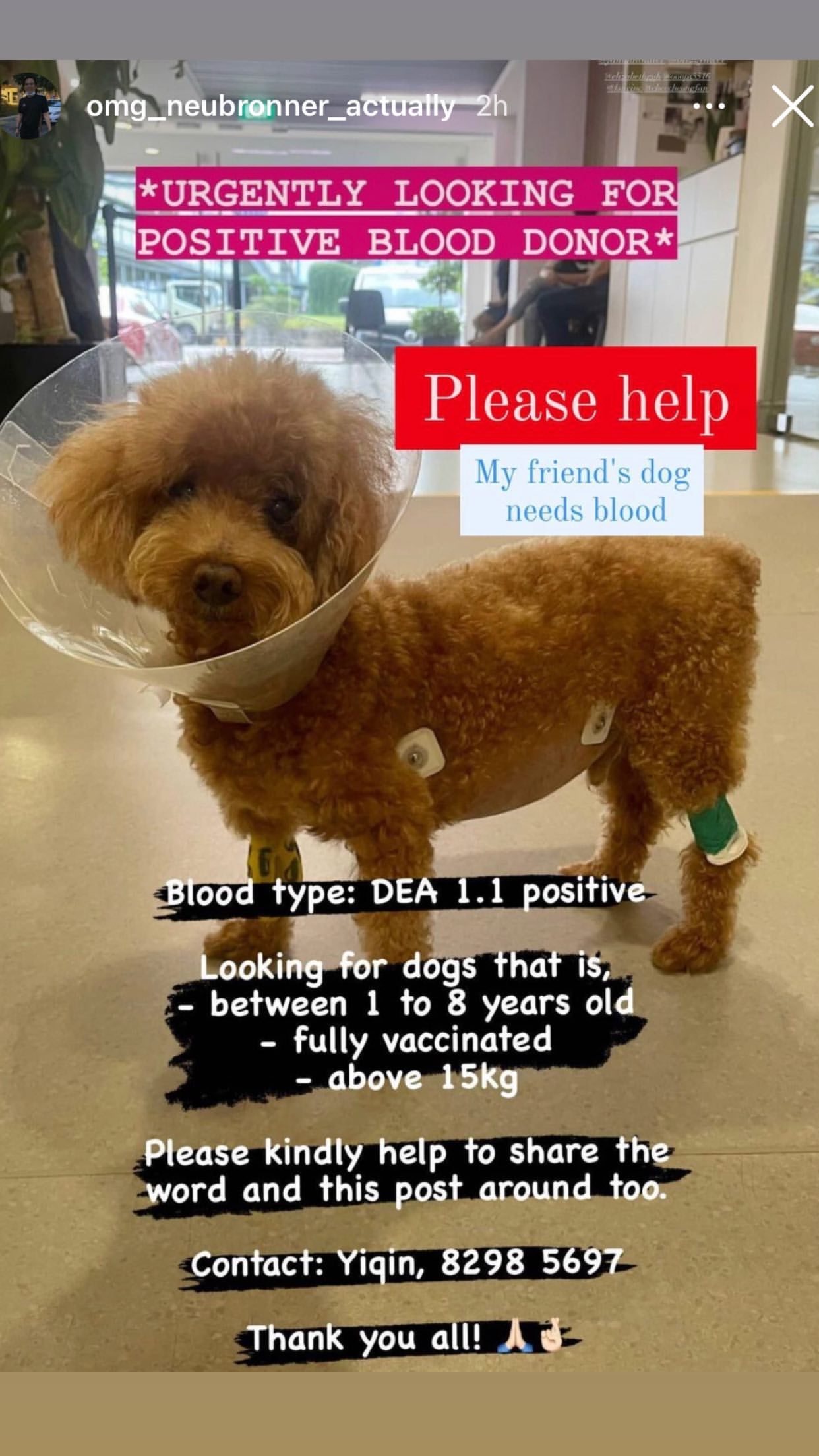help.jpg
