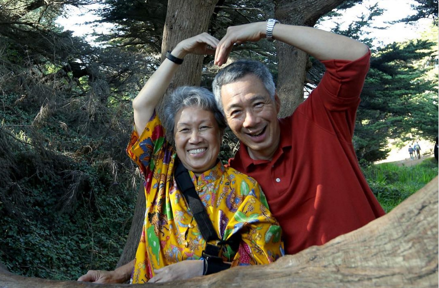 Ho_Ching_Lee_Hsien_Loong_2016.jpg
