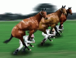 horse-race.gif
