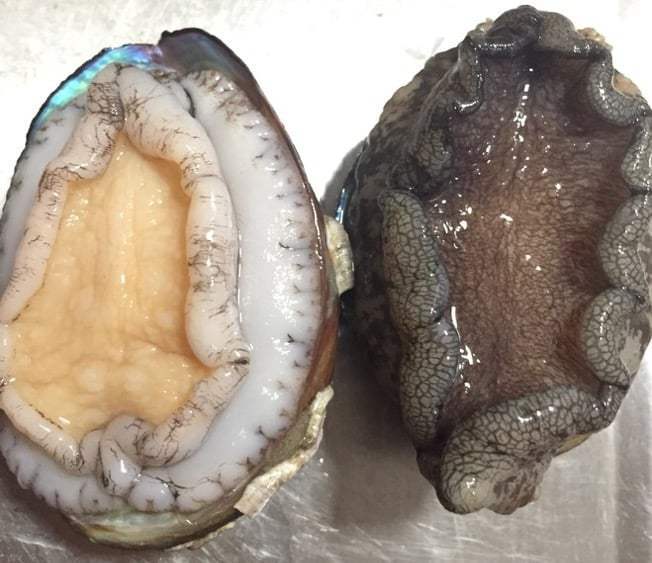 How-to-Buy-and-Wash-Abalones.jpg
