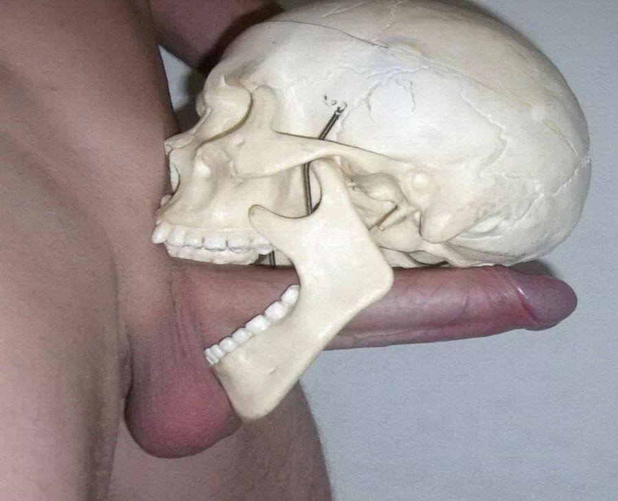 hTHBj4W.jpg