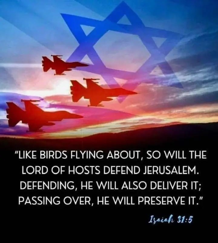 IDF 2.jpg