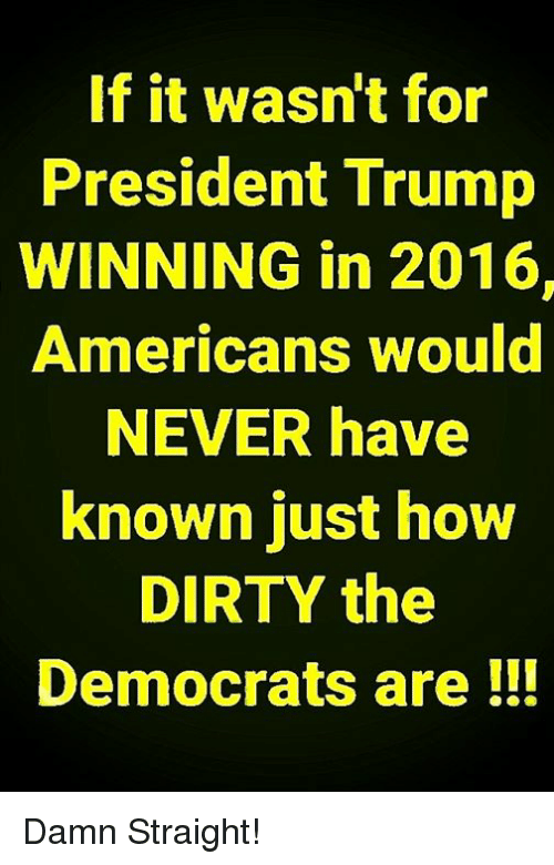 if-it-wasnt-for-president-trump-winning-in-2016-americans-31457317.png