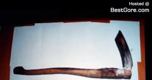 images (1).jpeg