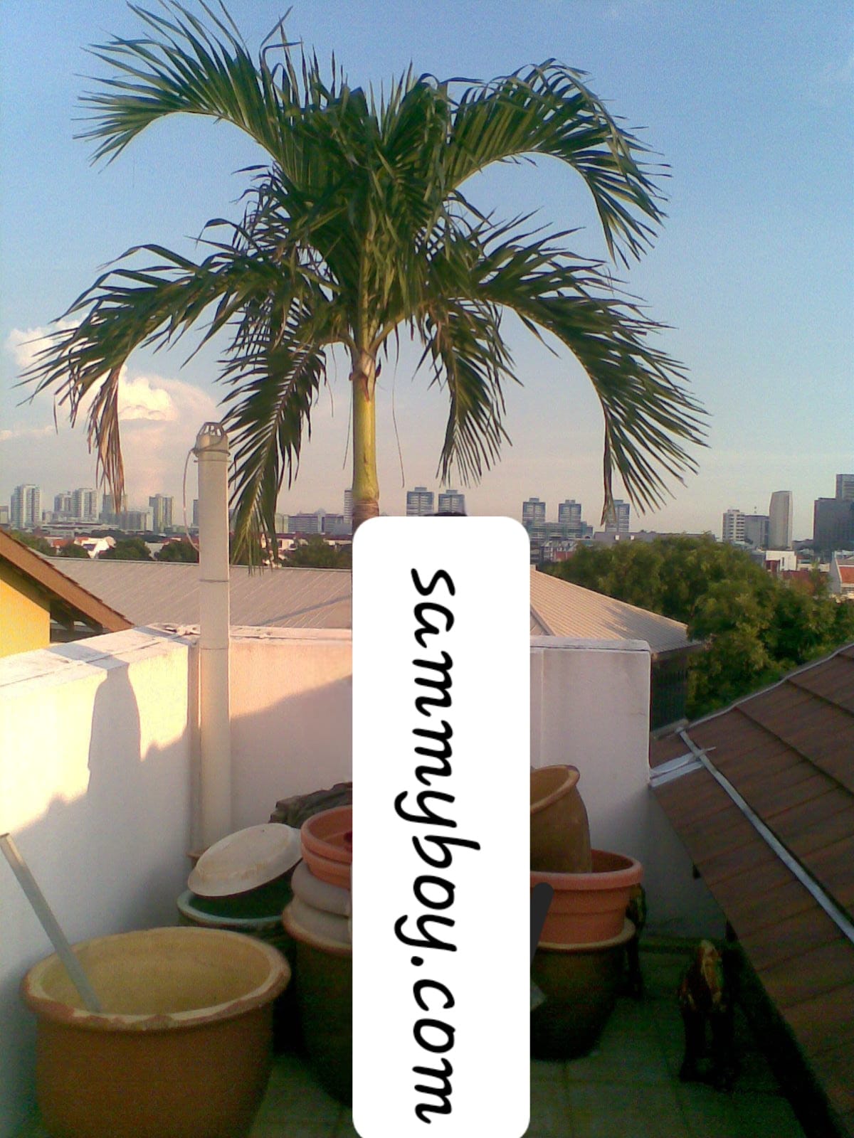 IMG-20230921-WA0001.jpg