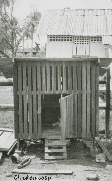 img0008.jpg