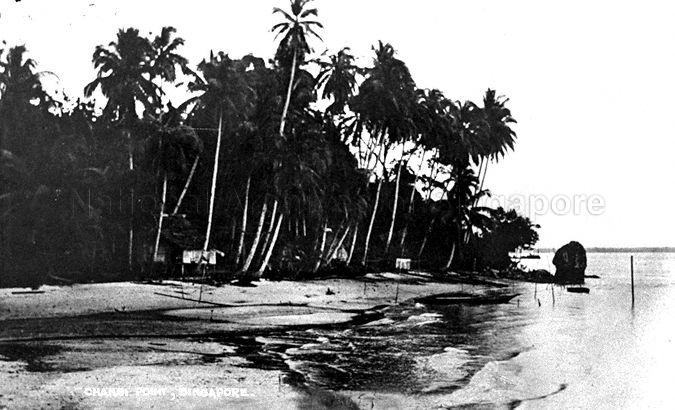 img0037.jpg