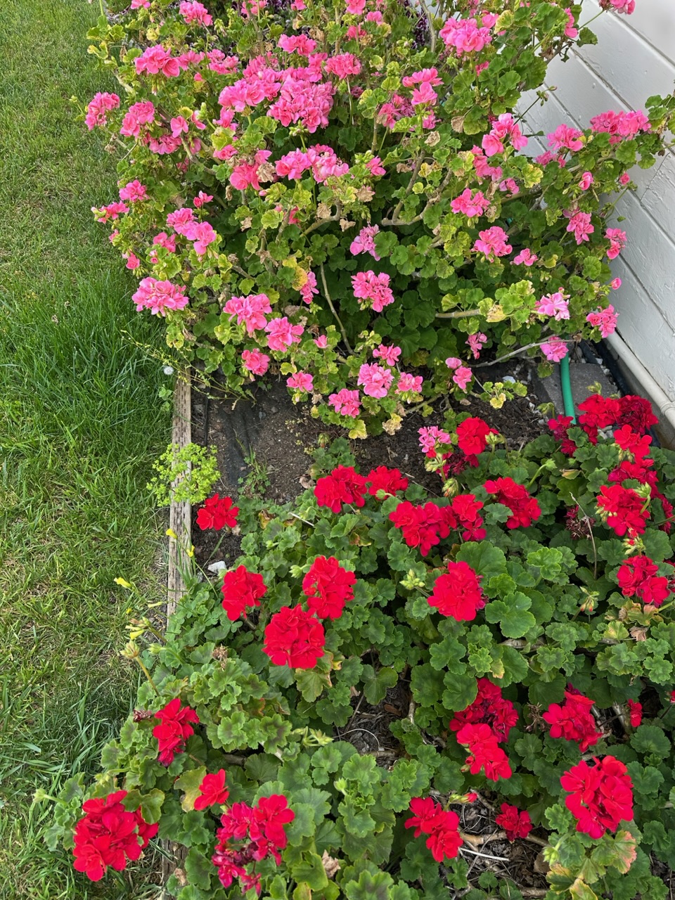 IMG_0593.jpeg