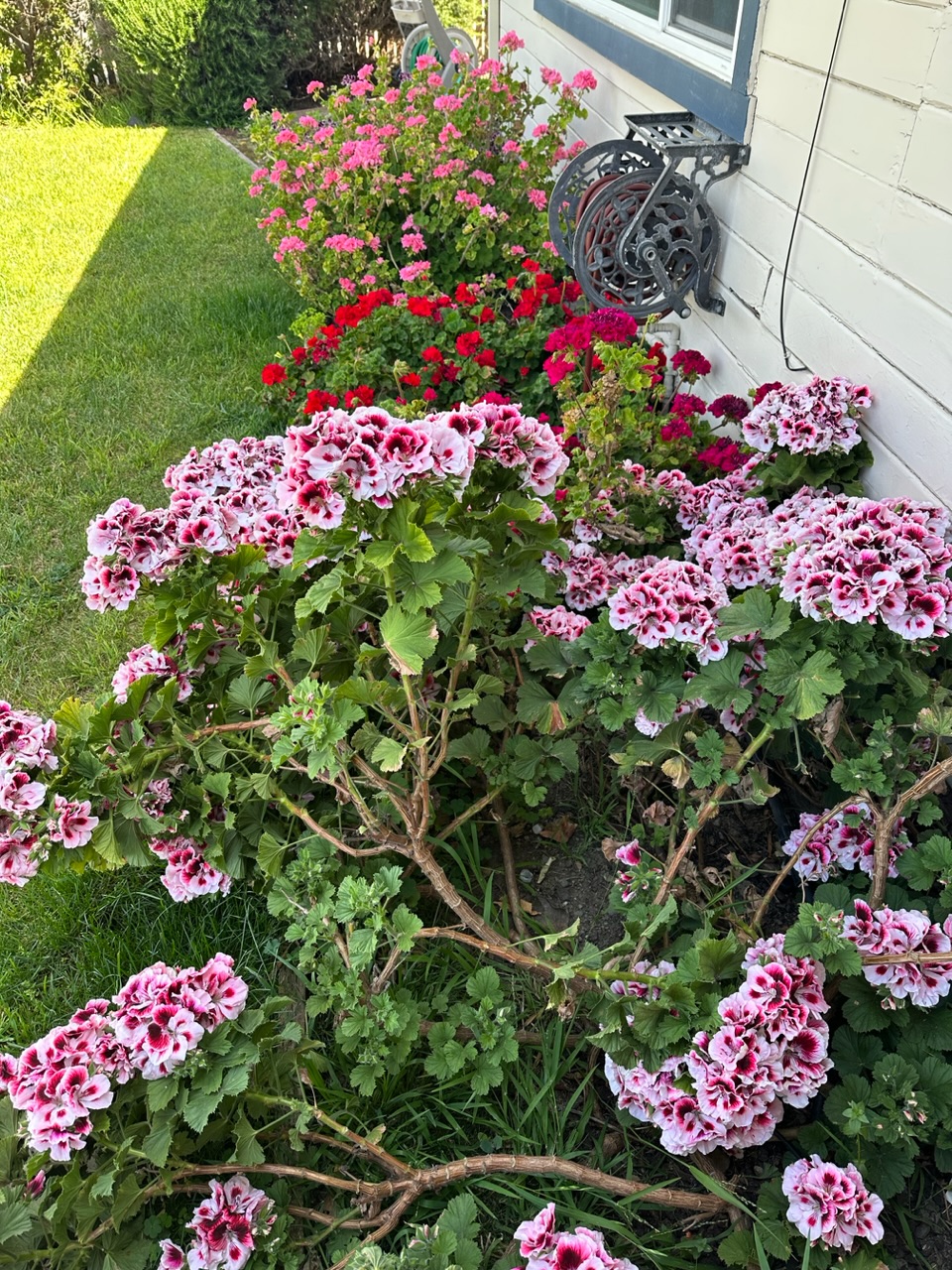IMG_0594.jpeg