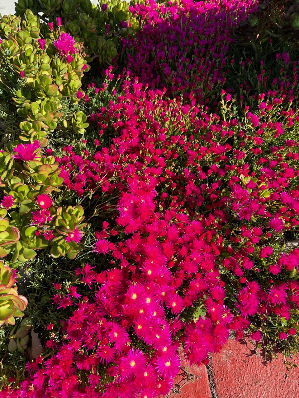 IMG_0645.jpeg
