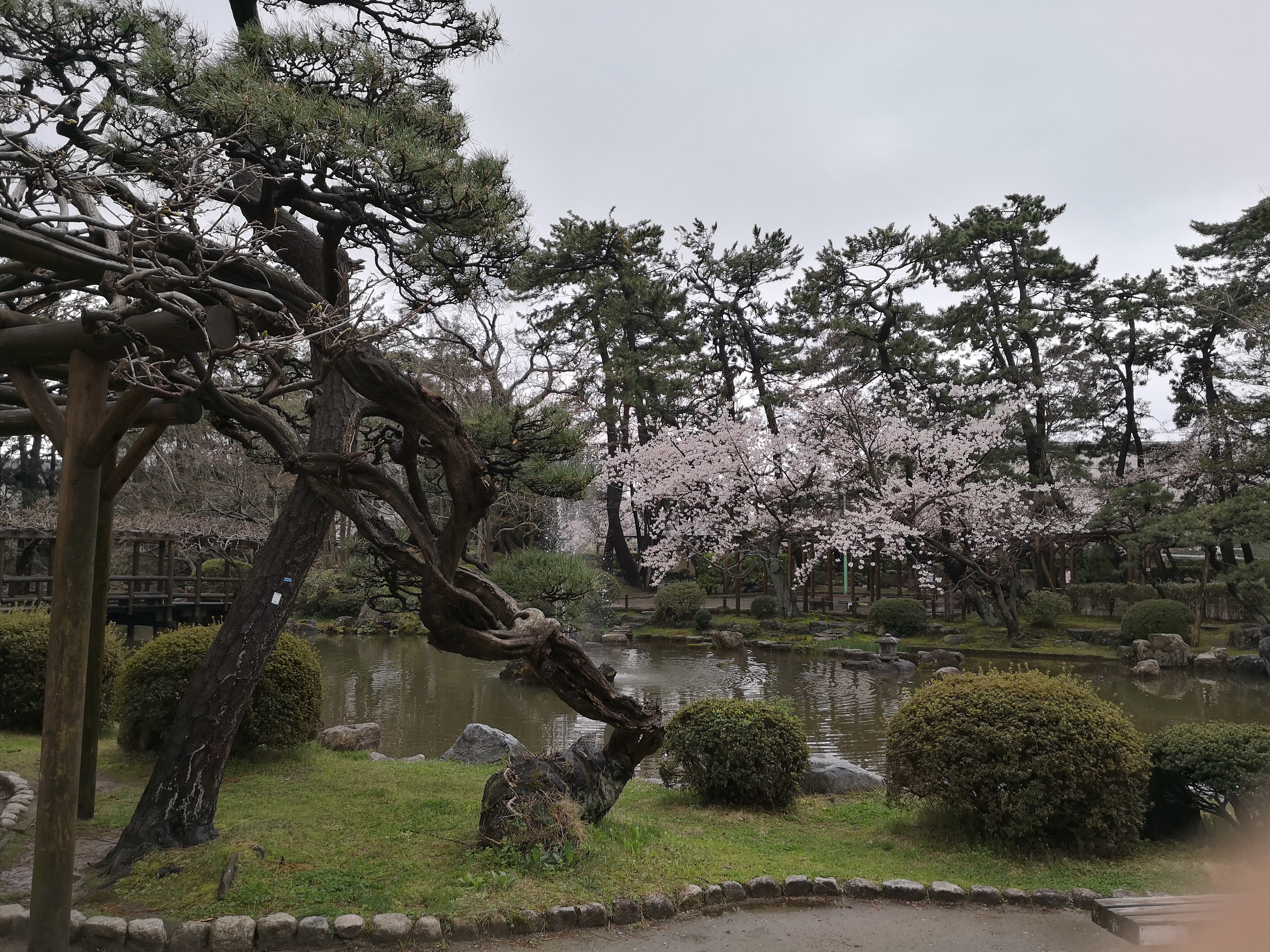 IMG_20180408_110904.jpg