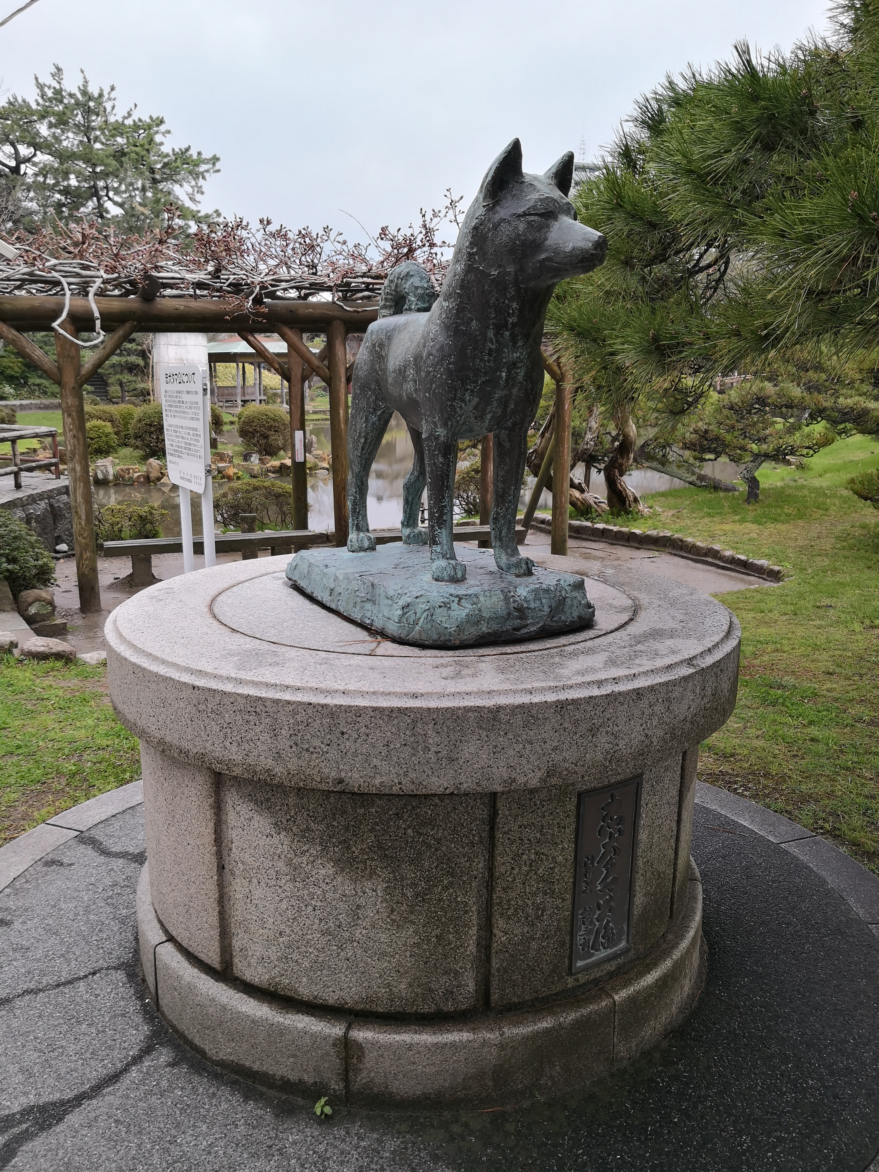IMG_20180408_111137.jpg