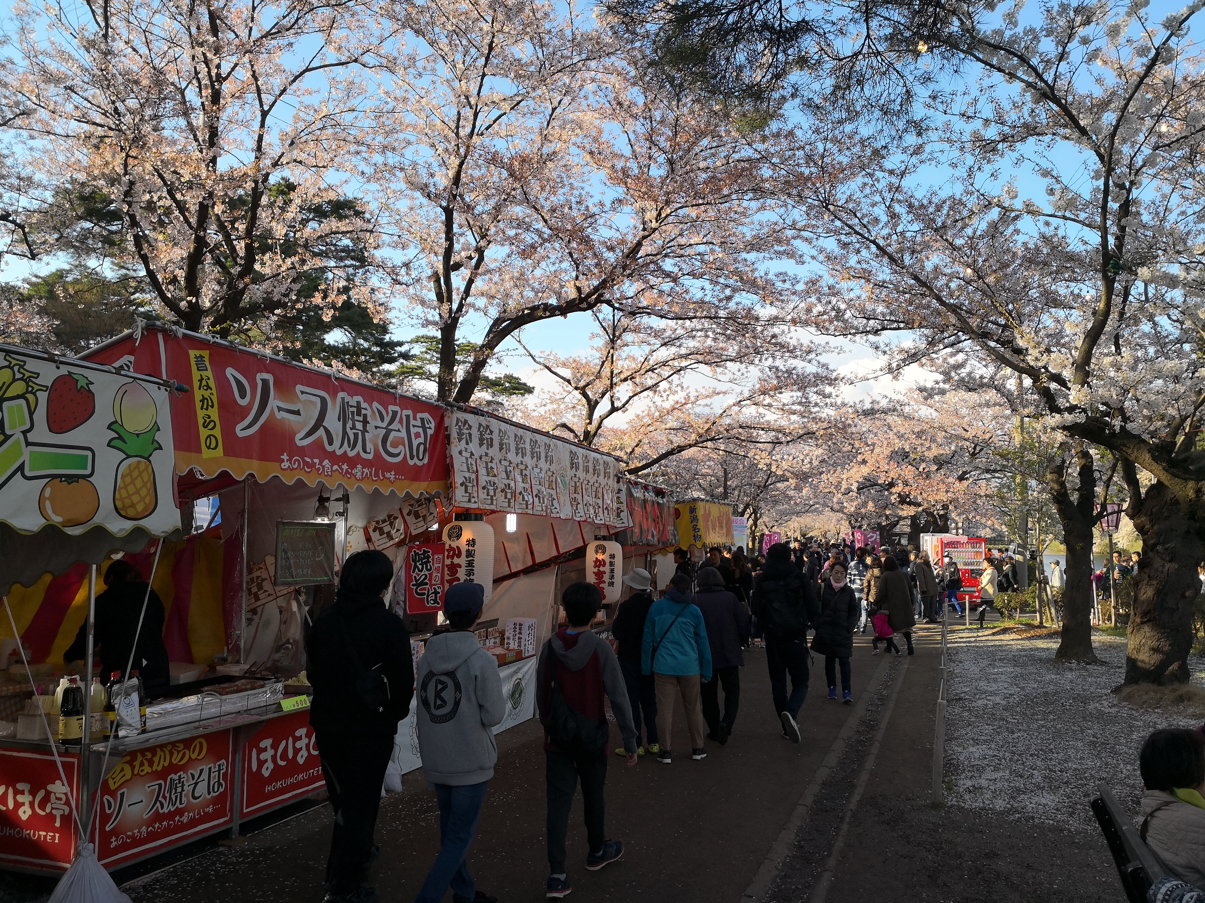 IMG_20180408_163410.jpg