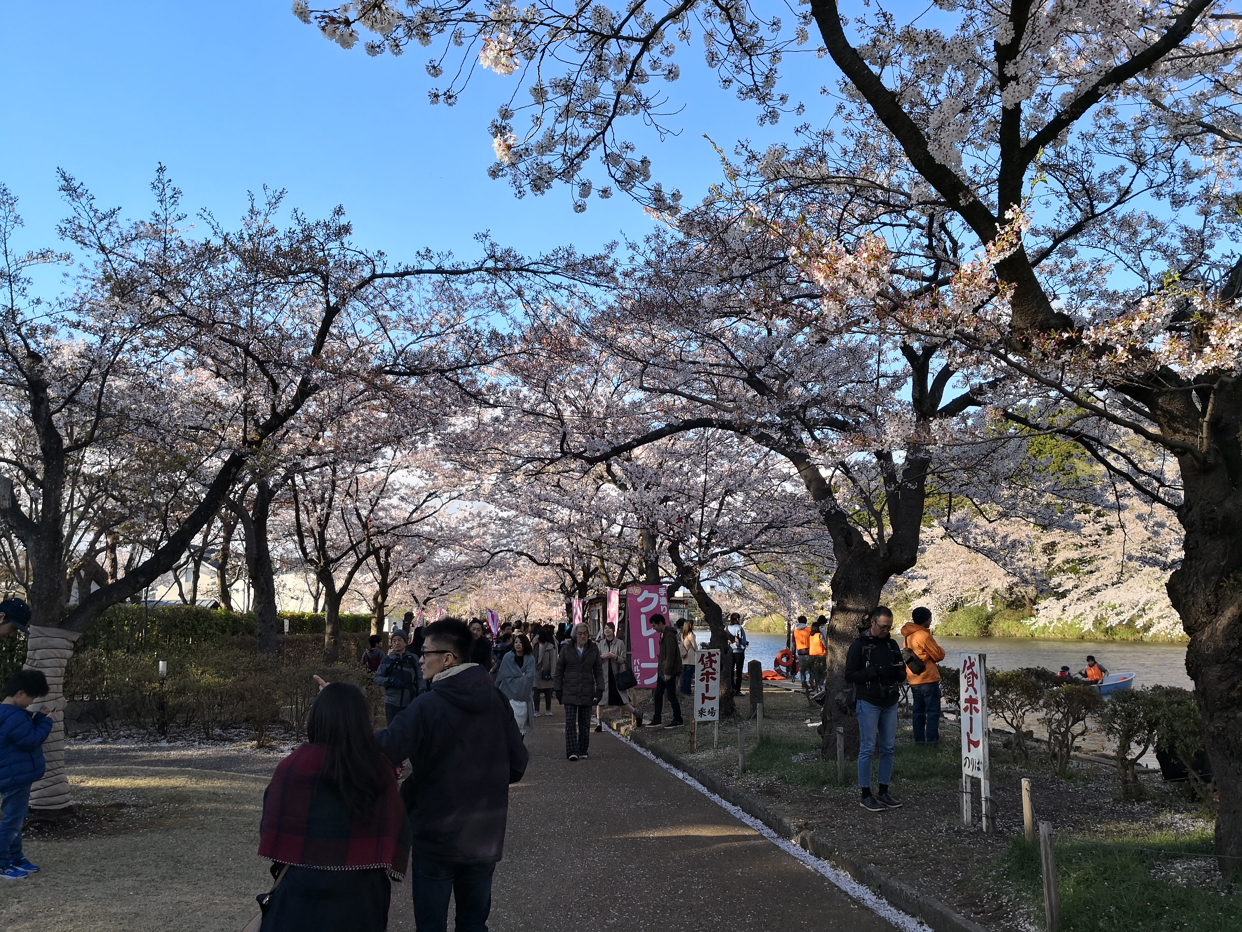 IMG_20180408_163501.jpg